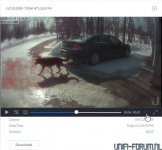 65C75522-B719-4CCB-924A-469E68B02036.jpeg 65C75522-B719-4CCB-924A-469E68B02036.jpeg