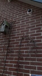 WhatsApp Image 2023-12-02 at 16.52.41.jpeg WhatsApp Image 2023-12-02 at 16.52.41.jpeg